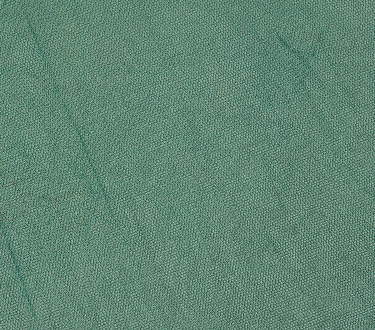 Green Vintage Sari Remnant Scrap NET Fabric for Sewing Craft