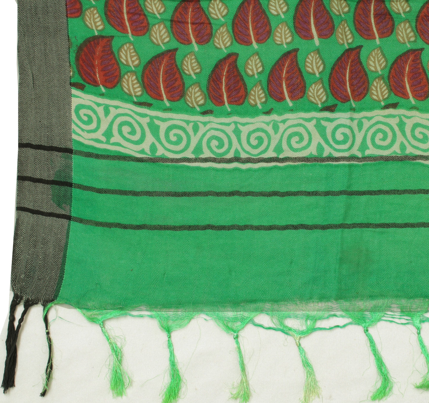 Sushila Vintage Green Indian Dupatta 100% Pure Woolen Printed Long Stole Hijab